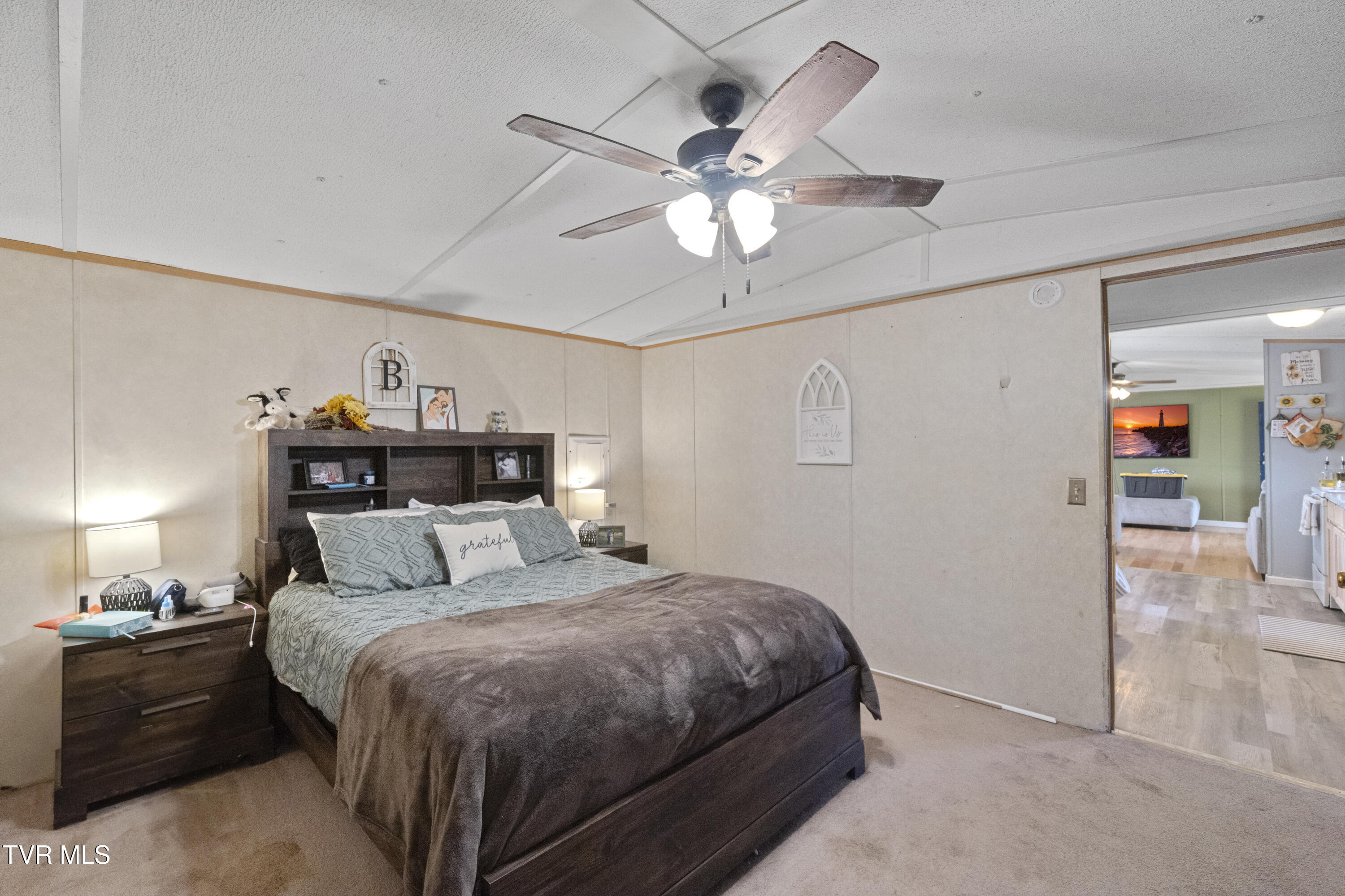 335 Carpenters Chapel Road Mosheim, TN 37818 - Photo 11 of 28 DSC06912