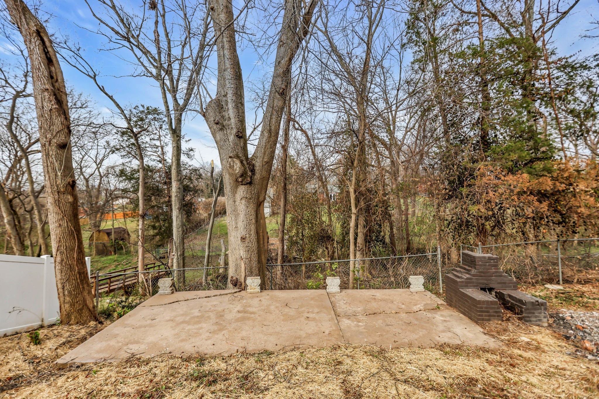 414 Springview Drive Nashville, TN 37214 - Photo 43 of 43 a backyard of a house with large trees