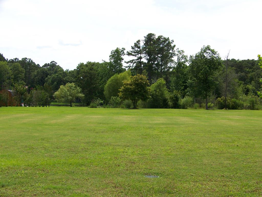 1305 Raccoon Road Sumter, SC 29154 - Photo 1 of 1 Gallery Image 1