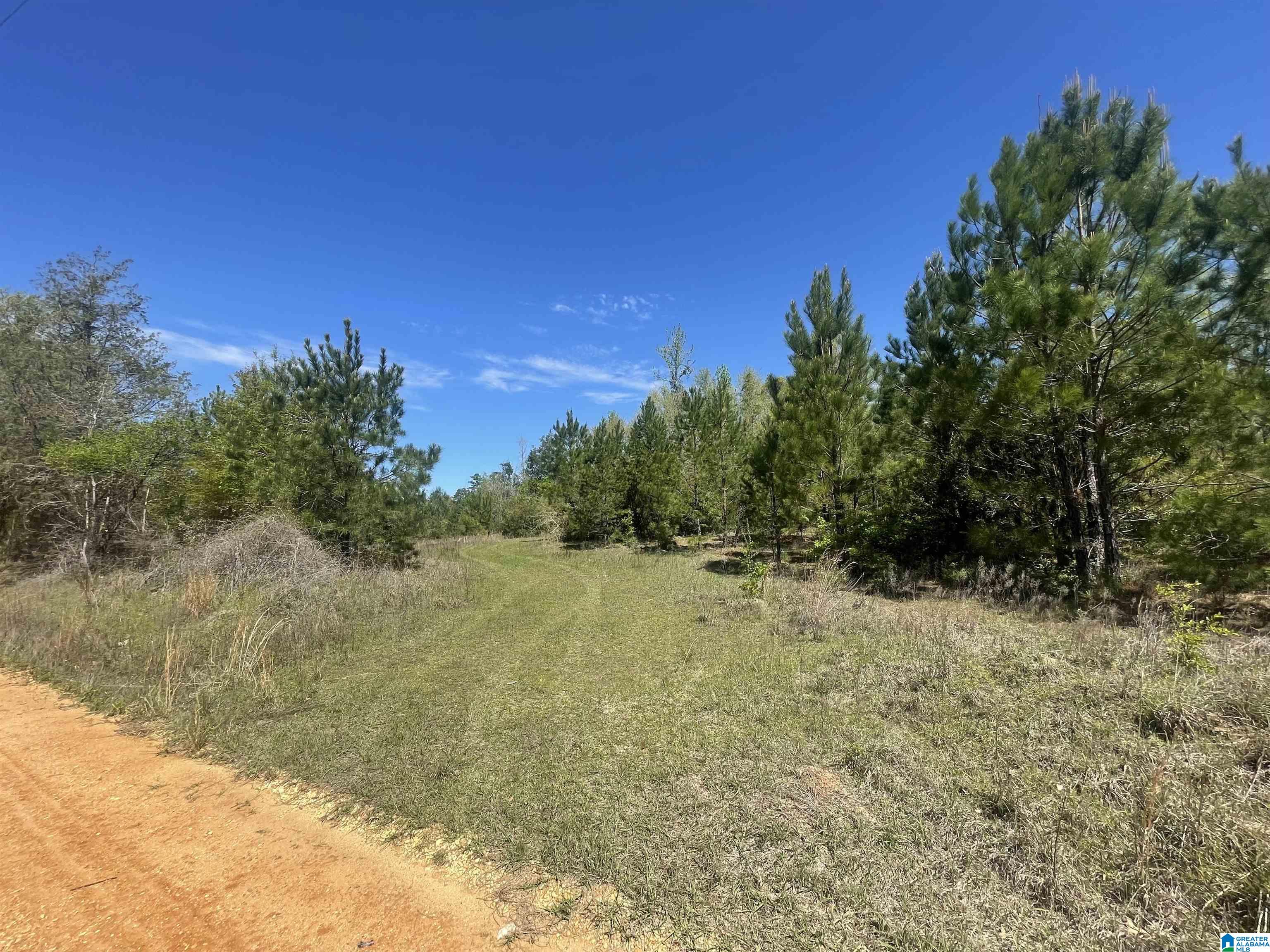 0 Richardson Road Brewton, AL 36426 - Photo 27 of 47