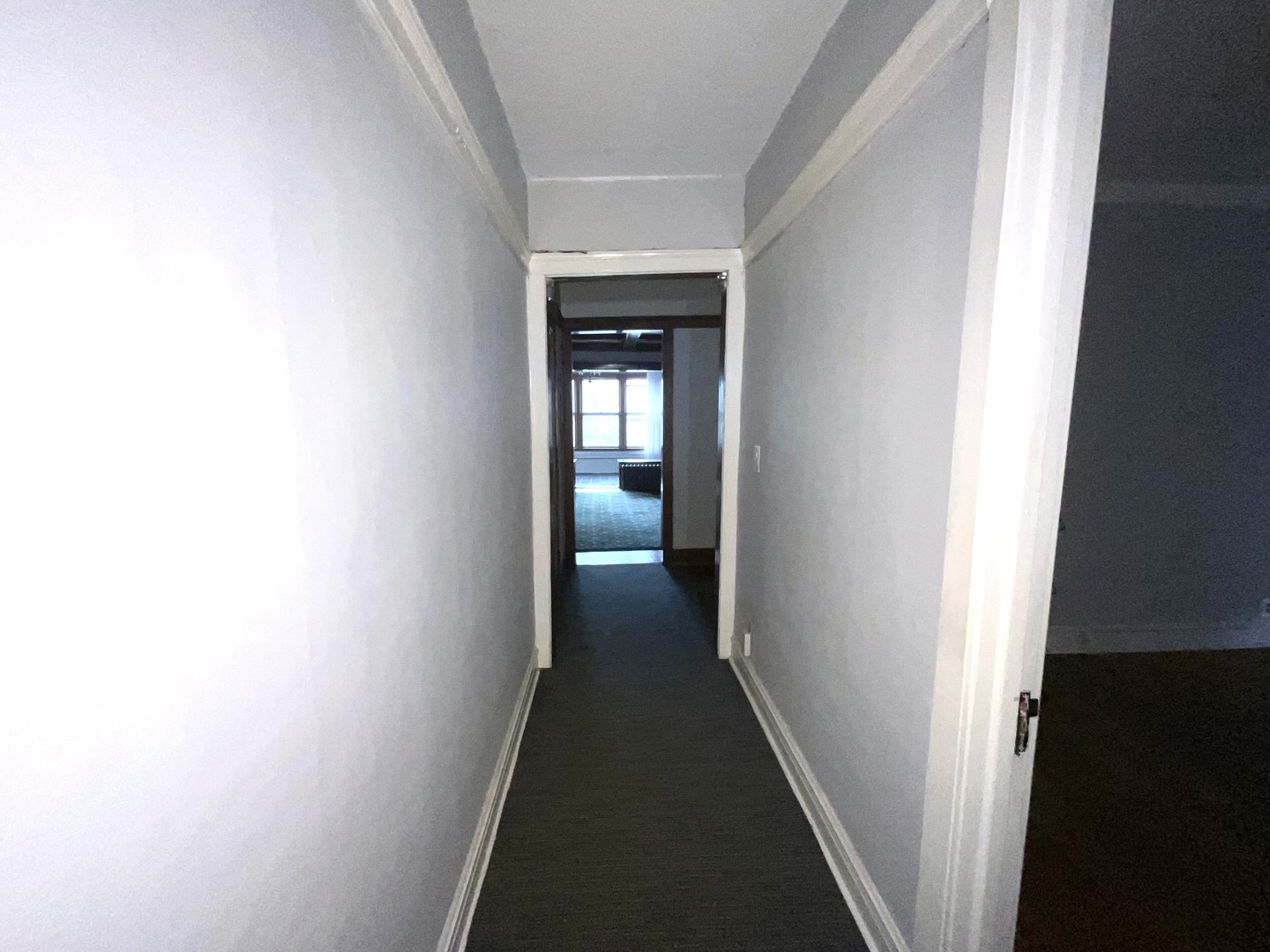 5488 South Everett Avenue, Unit 2 Chicago, IL 60615 - Photo 16 of 29 a view of a hallway with wooden floor