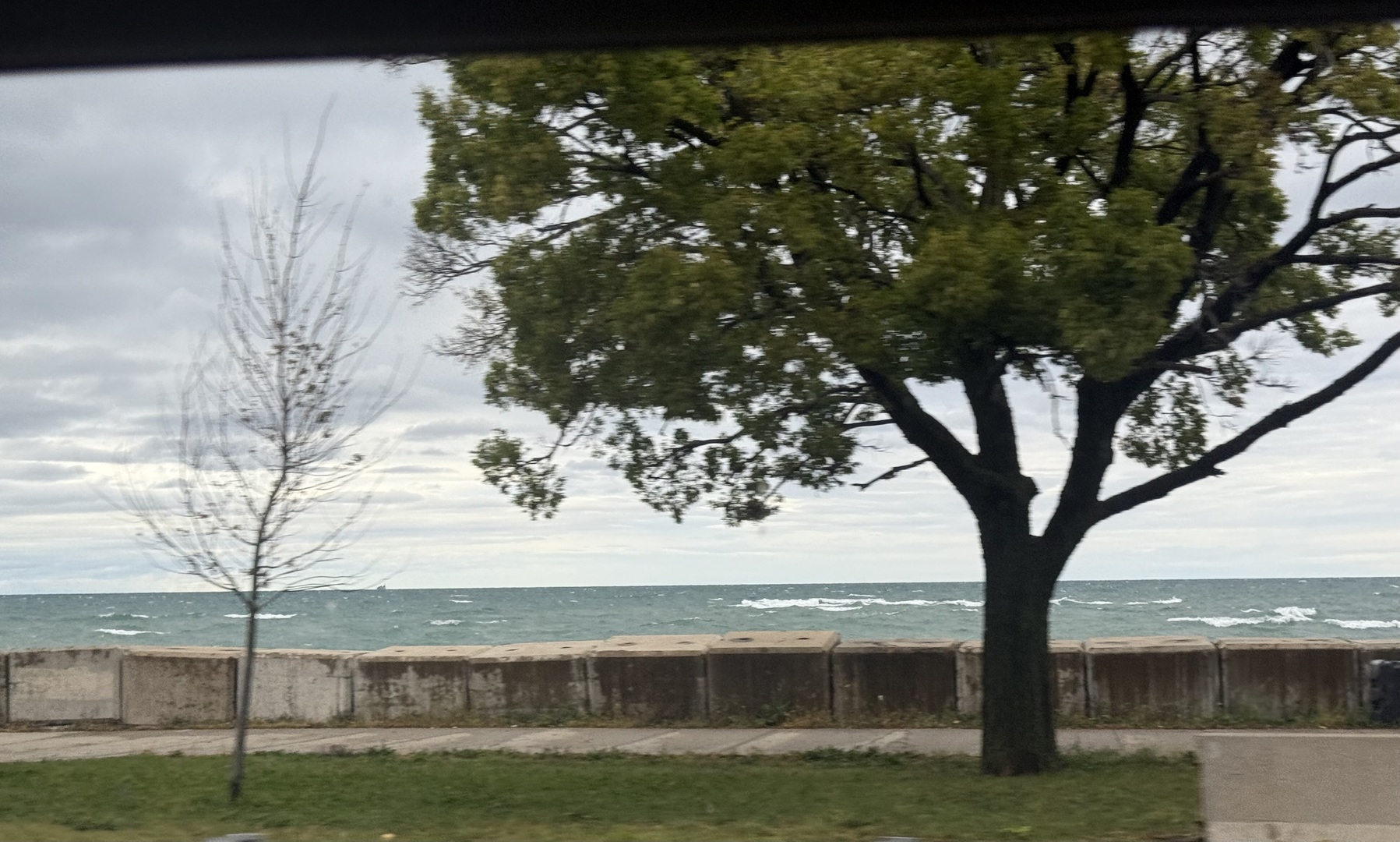 5488 South Everett Avenue, Unit 2 Chicago, IL 60615 - Photo 29 of 29 a view of lake with a tree