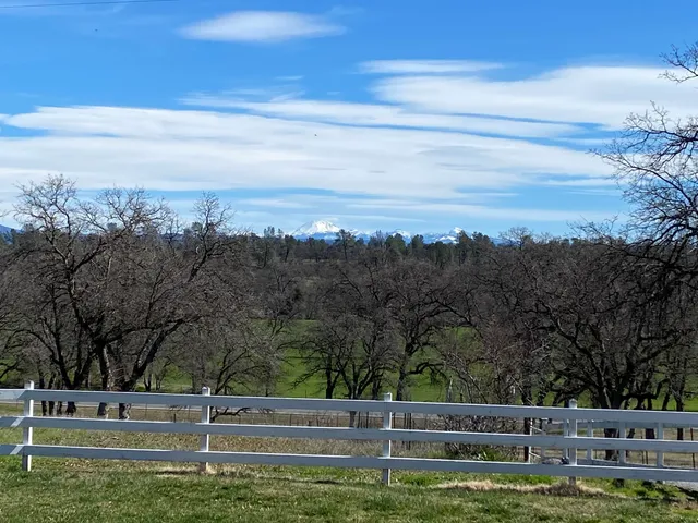 a living room with furniture and large windows