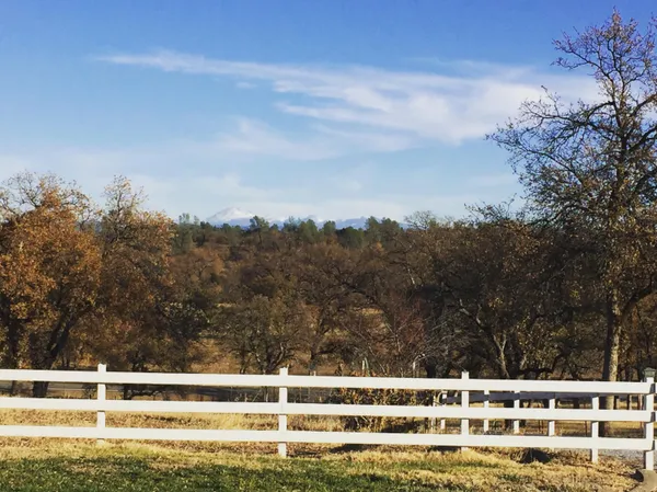 $829,900 | 10190 Oak Run Road, Oak Run, CA 96069