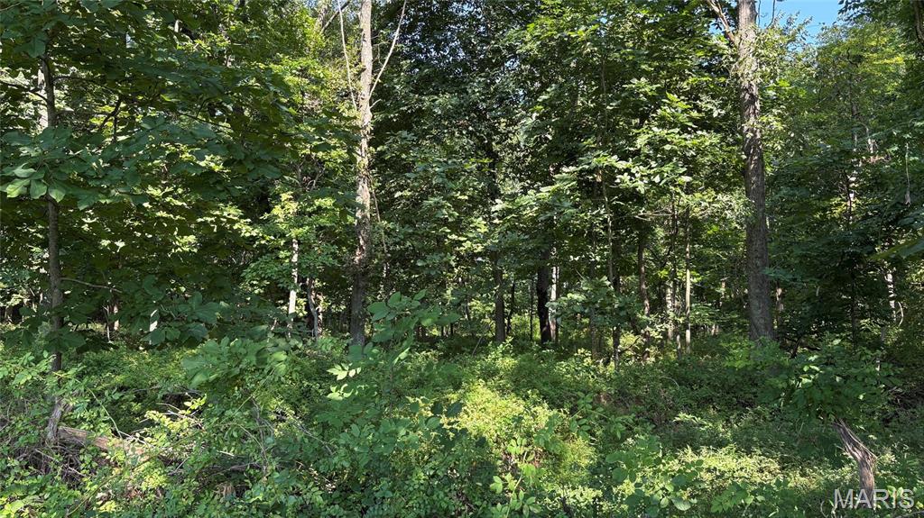 23036 Carlyle Road Thompsonville, IL 62890 - Photo 92 of 99