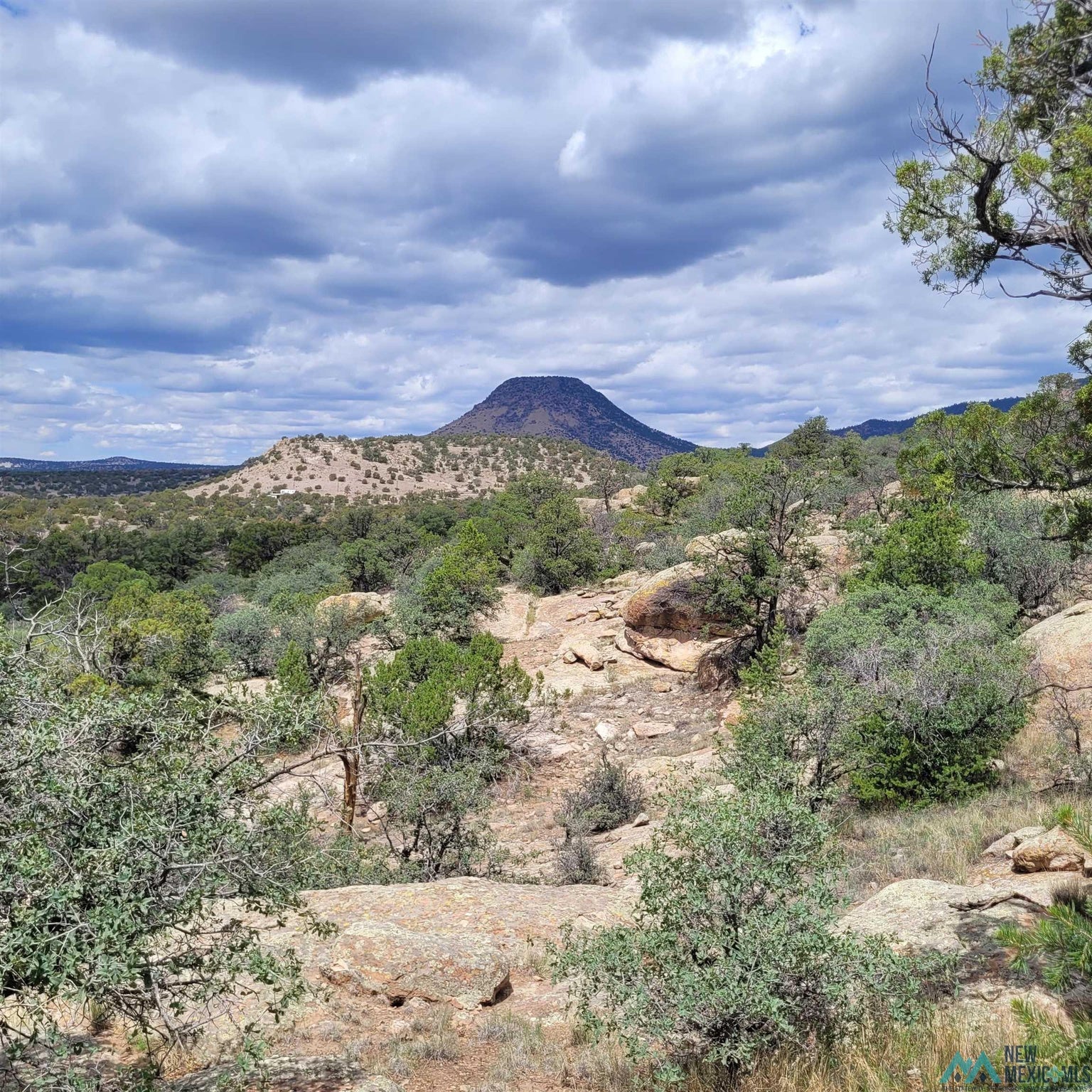 0 Lookout Loop, Unit 89 Datil, NM 87821 - Photo 3 of 38 Gallery Image 3