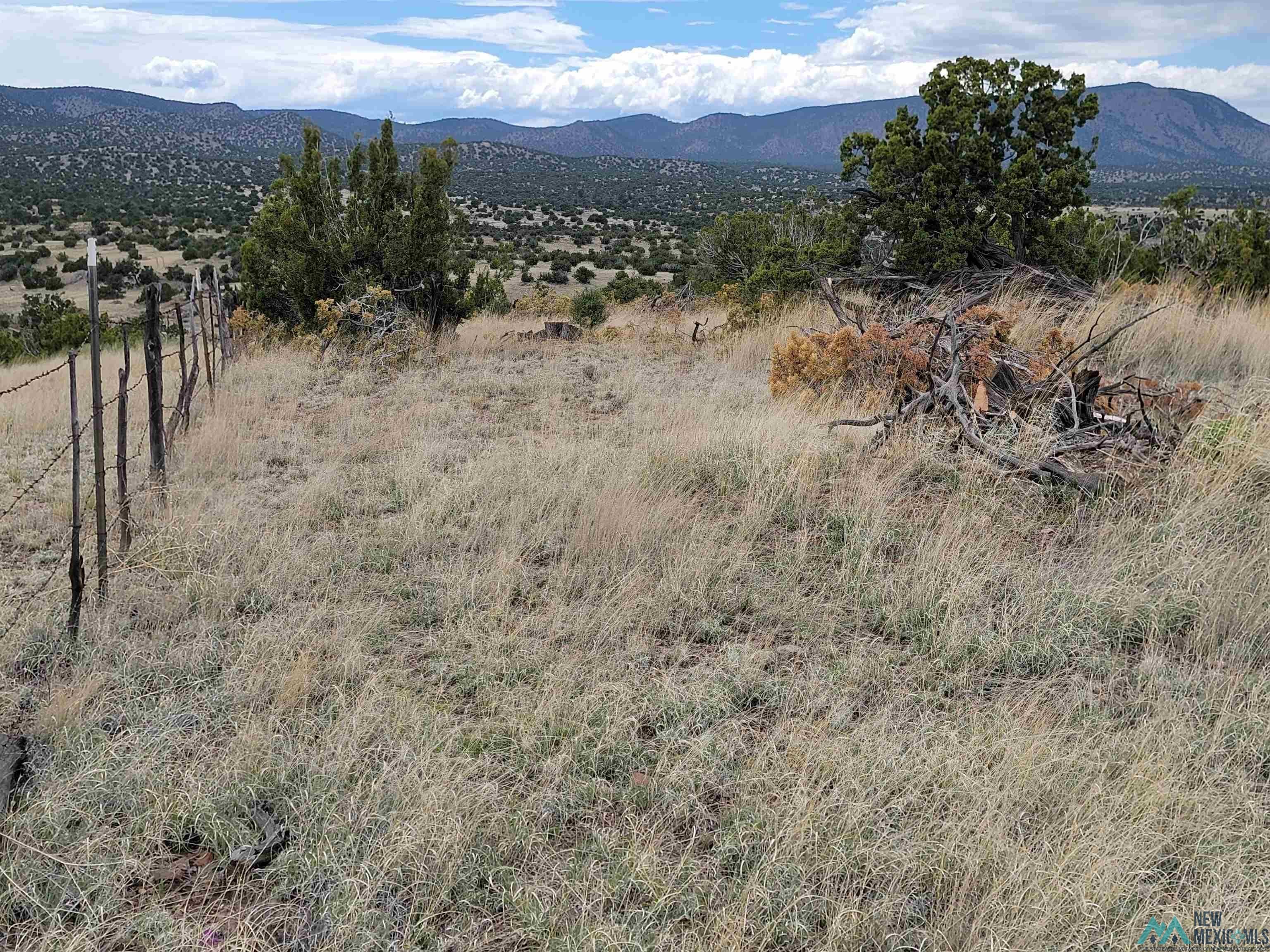 0 Tbd Nm 169 State Road Magdalena, NM 87825 - Photo 2 of 14