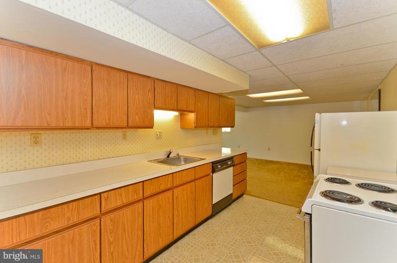 6810 Field Master Drive Springfield, VA 22153 - Photo 19 of 25 In-law suite with cabinets and counters.