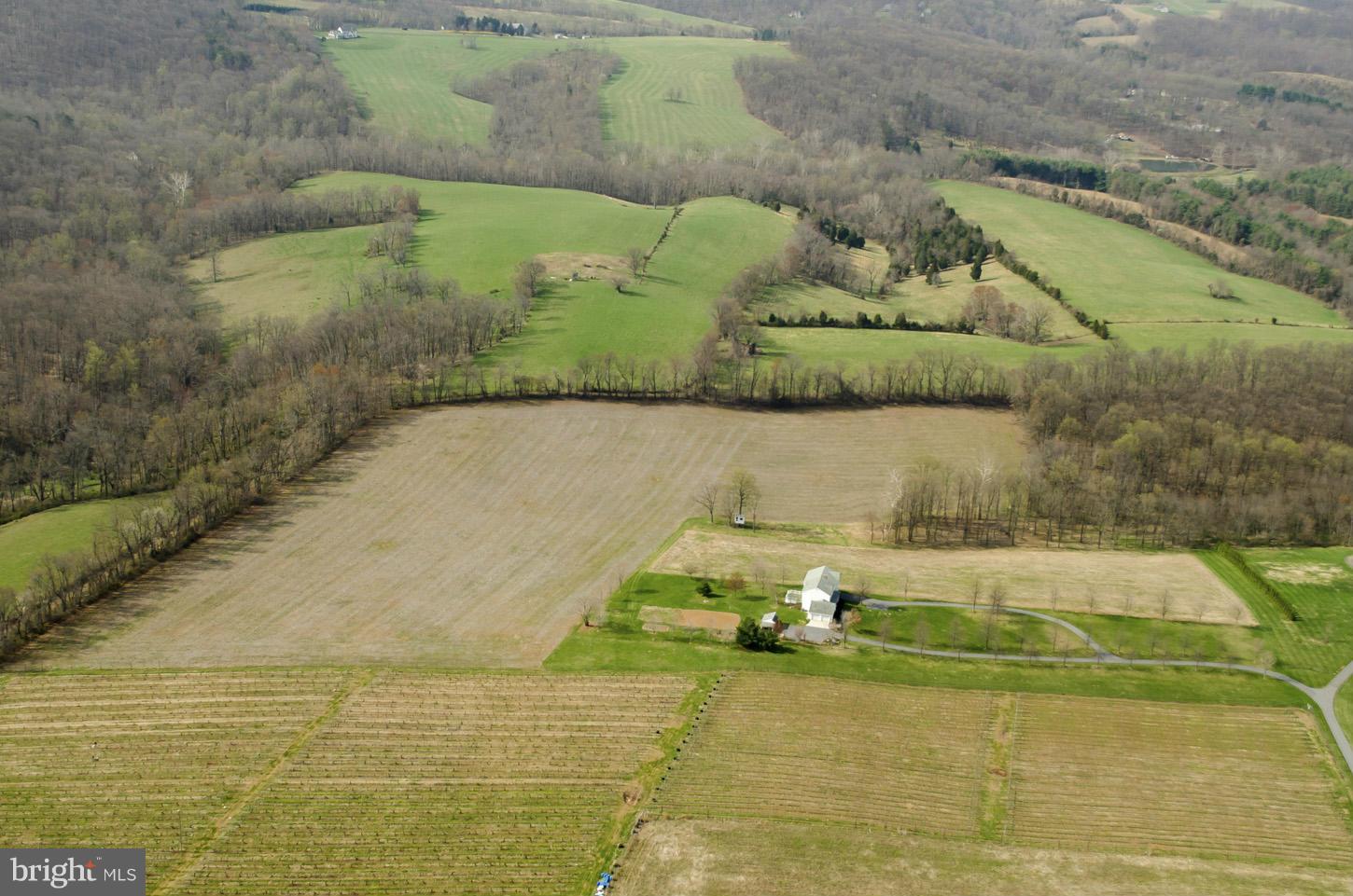 15129 Liberty Road Mount Airy, MD 21771 - Photo 2 of 10 a view of a yard