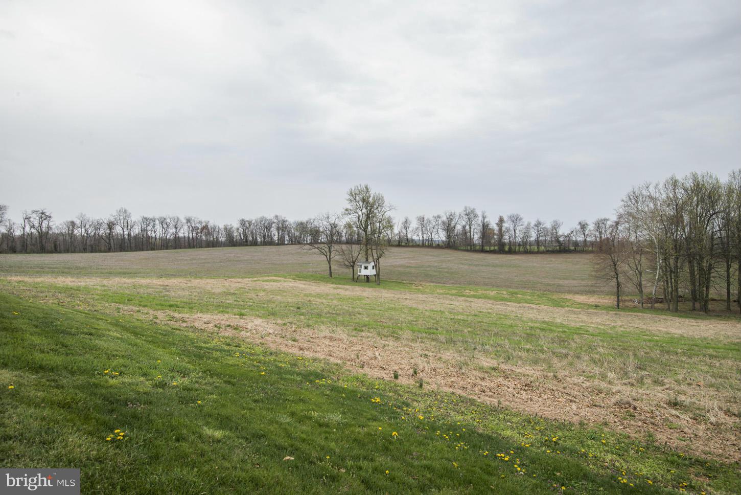 15129 Liberty Road Mount Airy, MD 21771 - Photo 6 of 10 a view of a lake with houses in the back
