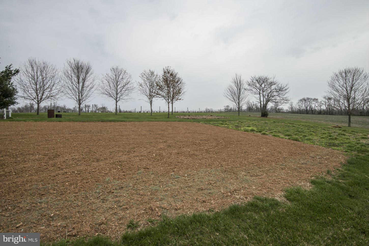 15129 Liberty Road Mount Airy, MD 21771 - Photo 8 of 10 a view of a field with trees in background
