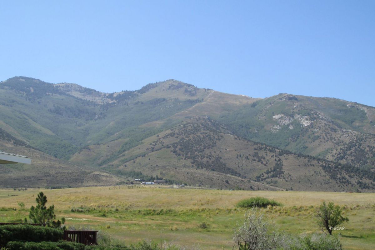 2701 Mountain View Road Lamoille, NV 89828 - Photo 10 of 40 Gallery Image 10