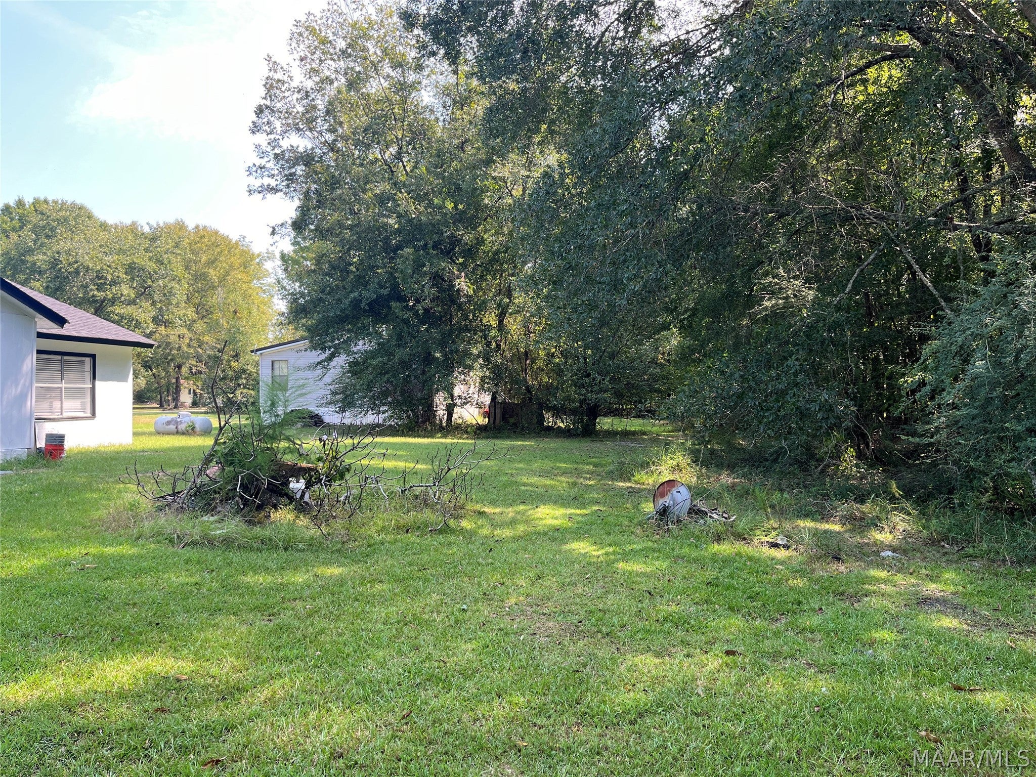 141 Griffin Jenkins Road Union Springs, AL 36089 - Photo 2 of 21 Gallery Image 2