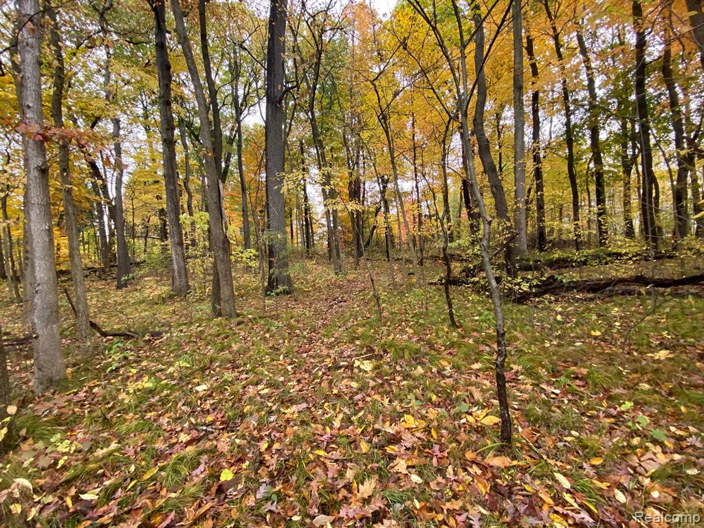 Lot 21 Deer Ridge Trail Howell, MI 48843 - Photo 8 of 17