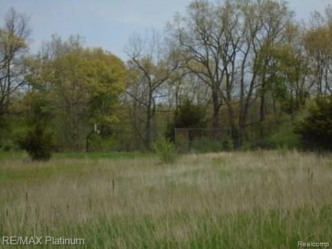 8070 Silver Lake Road Linden, MI 48451 - Photo 11 of 25 Gallery Image 11