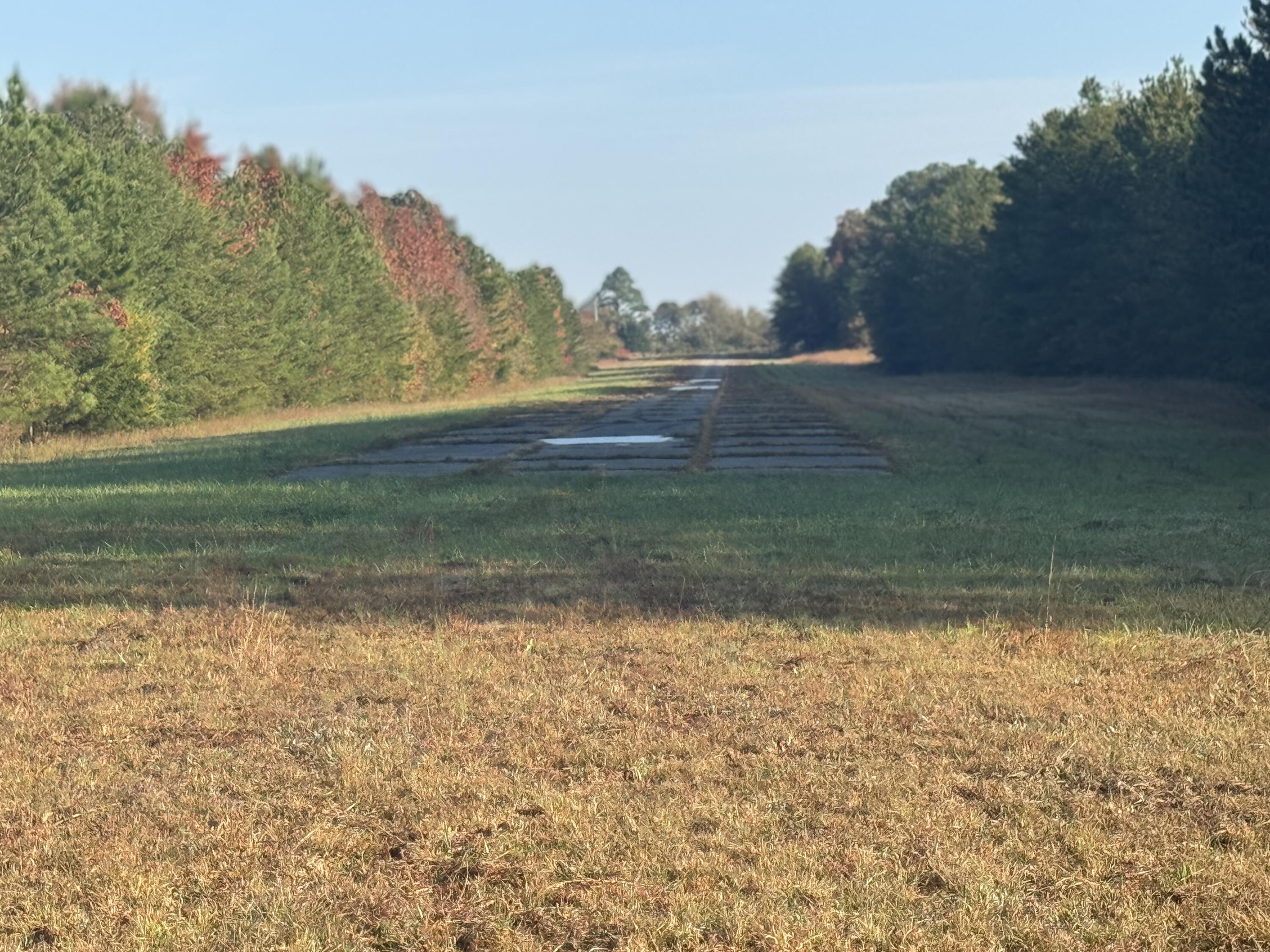 0 Tennga Gregory Road Crandall, GA 30711 - Photo 12 of 27 IMG_1862