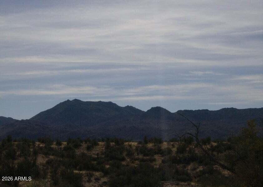18500 South Cardinal Road South Congress, AZ 85332 - Photo 3 of 6 a view of mountain and a yard