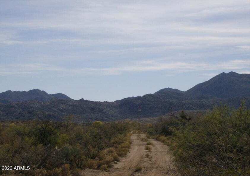 18500 South Cardinal Road South Congress, AZ 85332 - Photo 4 of 6