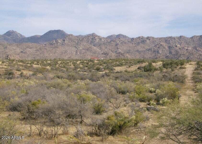 18500 South Cardinal Road South Congress, AZ 85332 - Photo 5 of 6 a view of mountains and valleys