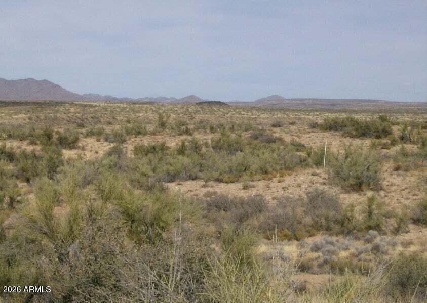 18500 South Cardinal Road South Congress, AZ 85332 - Photo 6 of 6 a view of an mountain range and trees