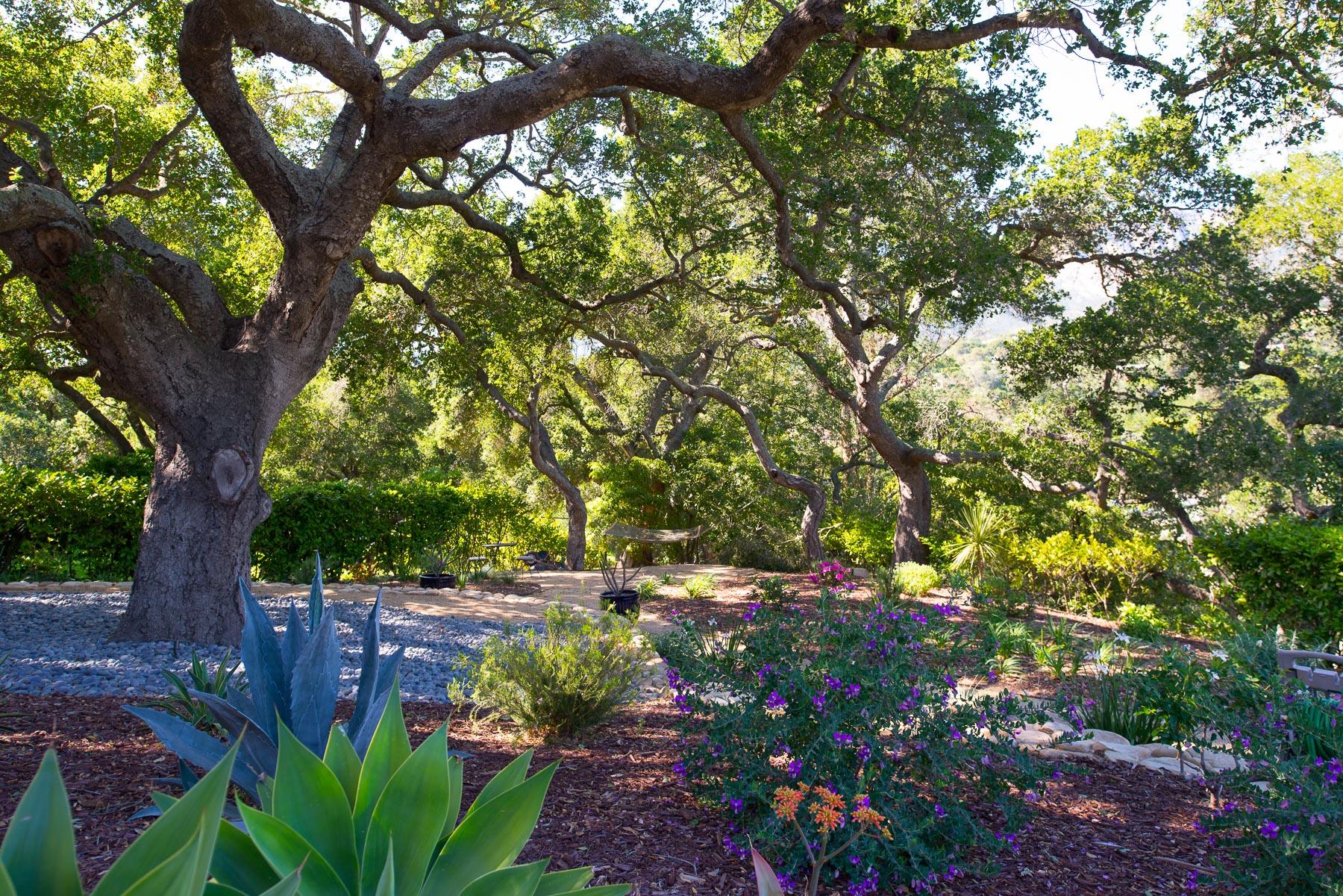 1702 Hillcrest Road Santa Barbara, CA 93103 - Photo 19 of 27 a backyard of a house with lots of green space and garden