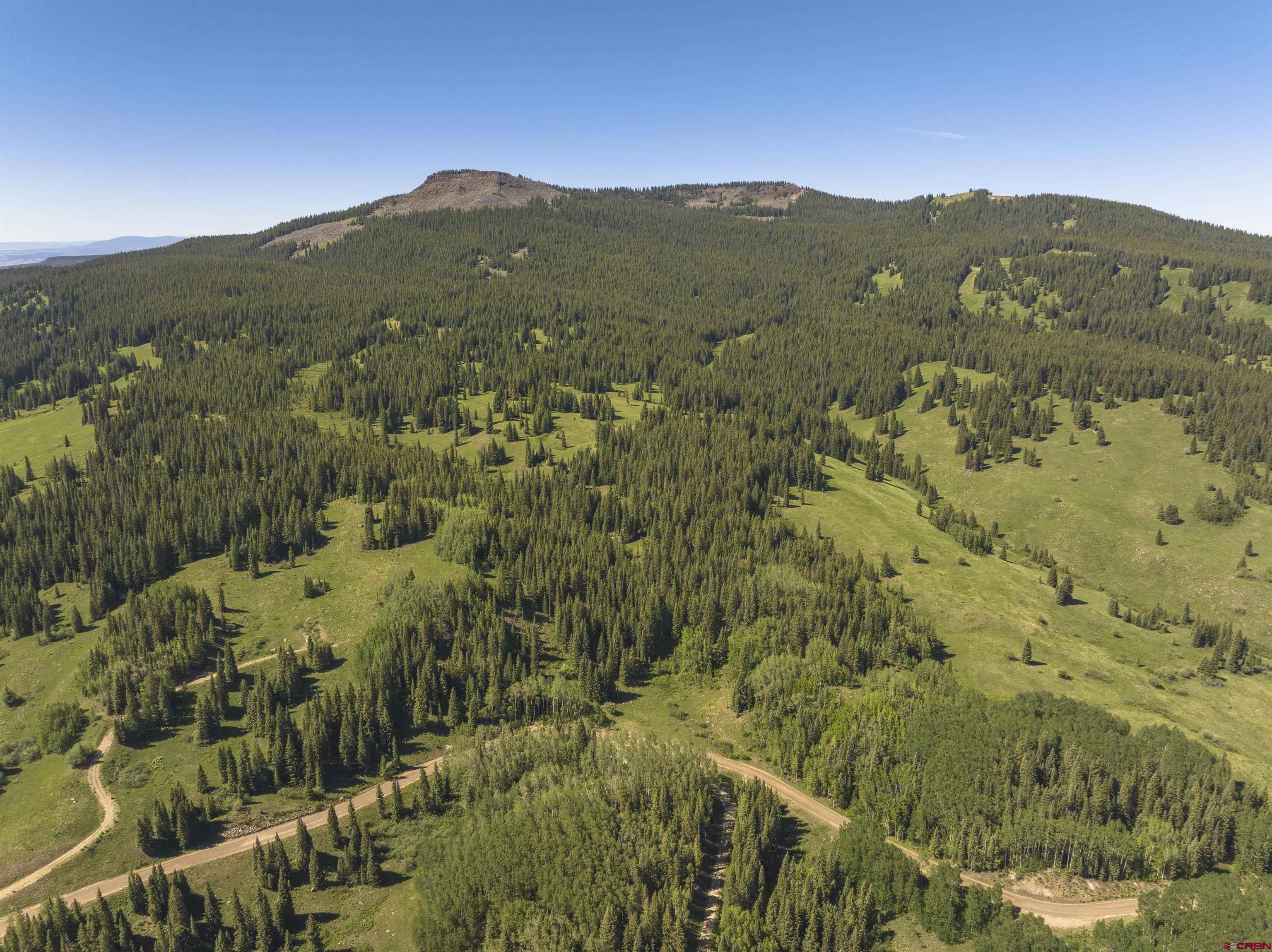 1371 Red Mountain Ranch Road Crested Butte, CO 81224 - Photo 37 of 41