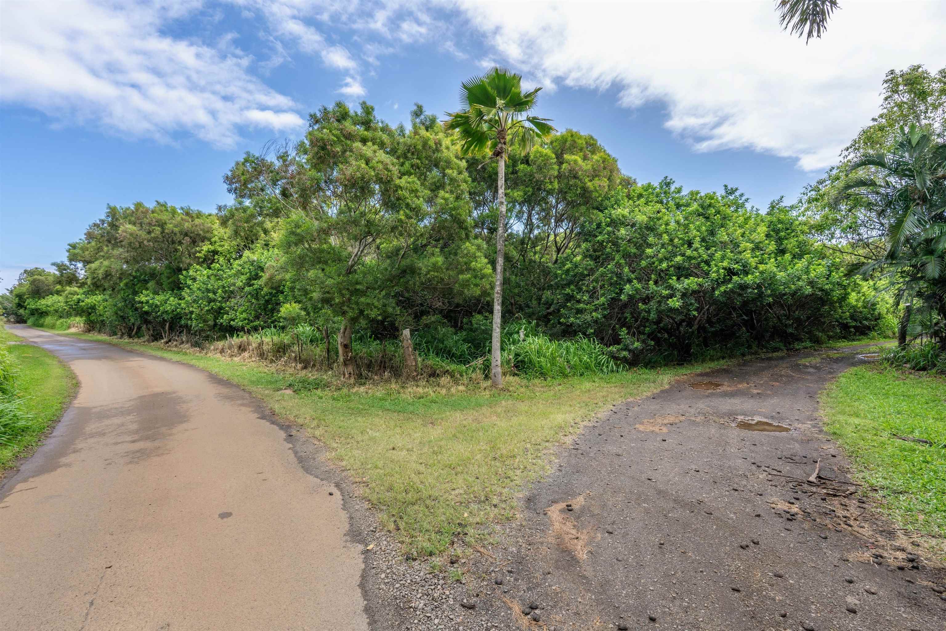 0 Haumana Road, Unit LOT 101B Haiku, HI 96708 - Photo 4 of 10 Gallery Image 4