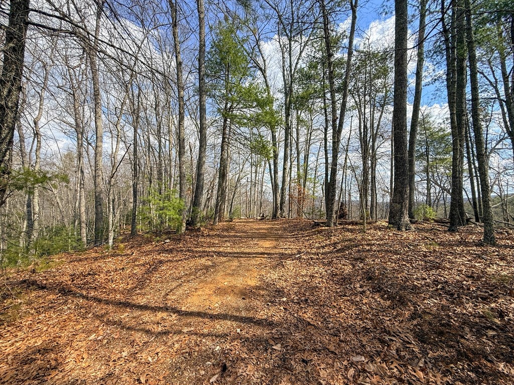 906 Scratch Gravel Road Max Meadows, VA 24360 - Photo 16 of 27 Gallery Image 16