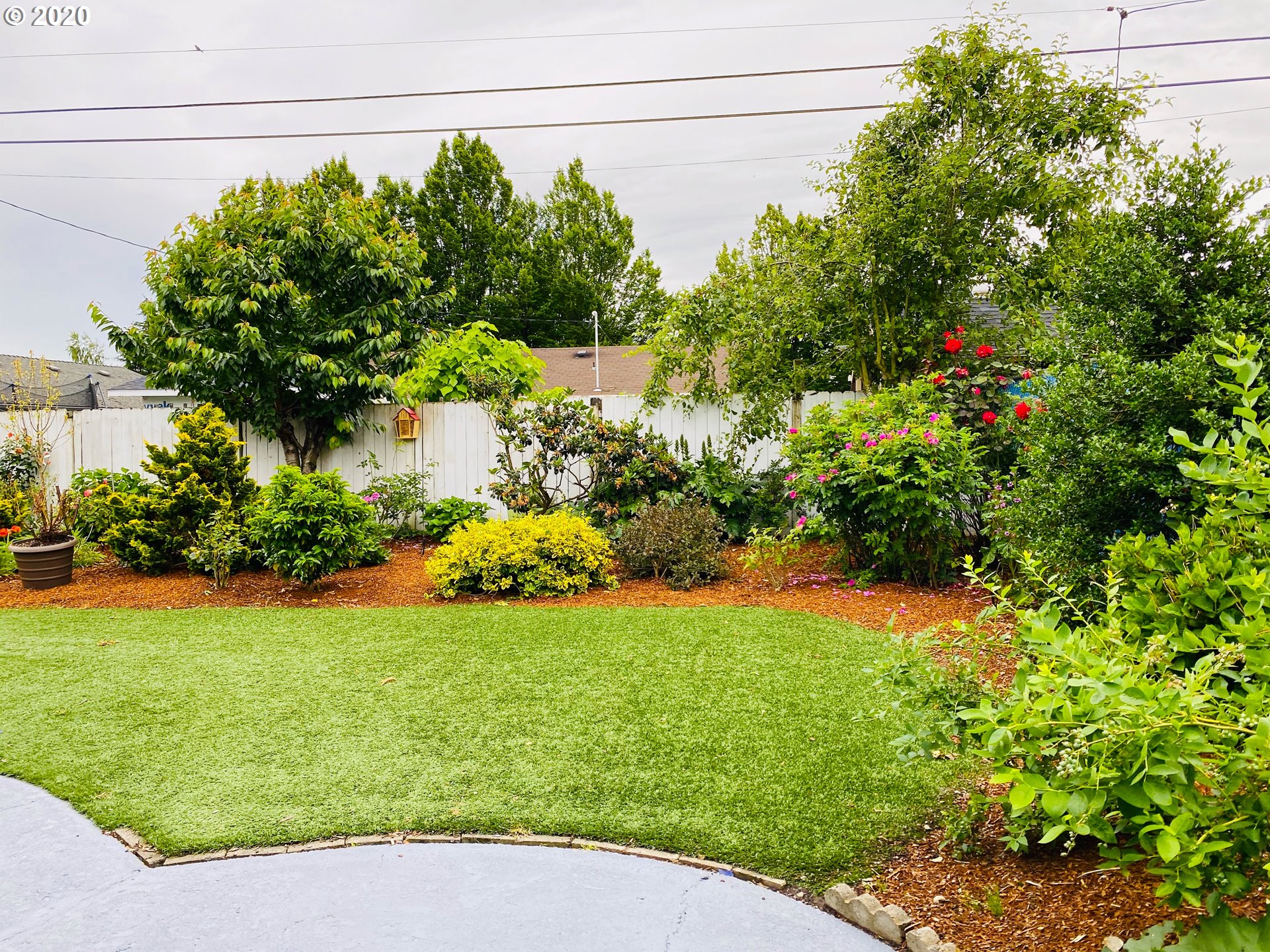 1319 Quinalt Street Springfield, OR 97477 - Photo 20 of 28