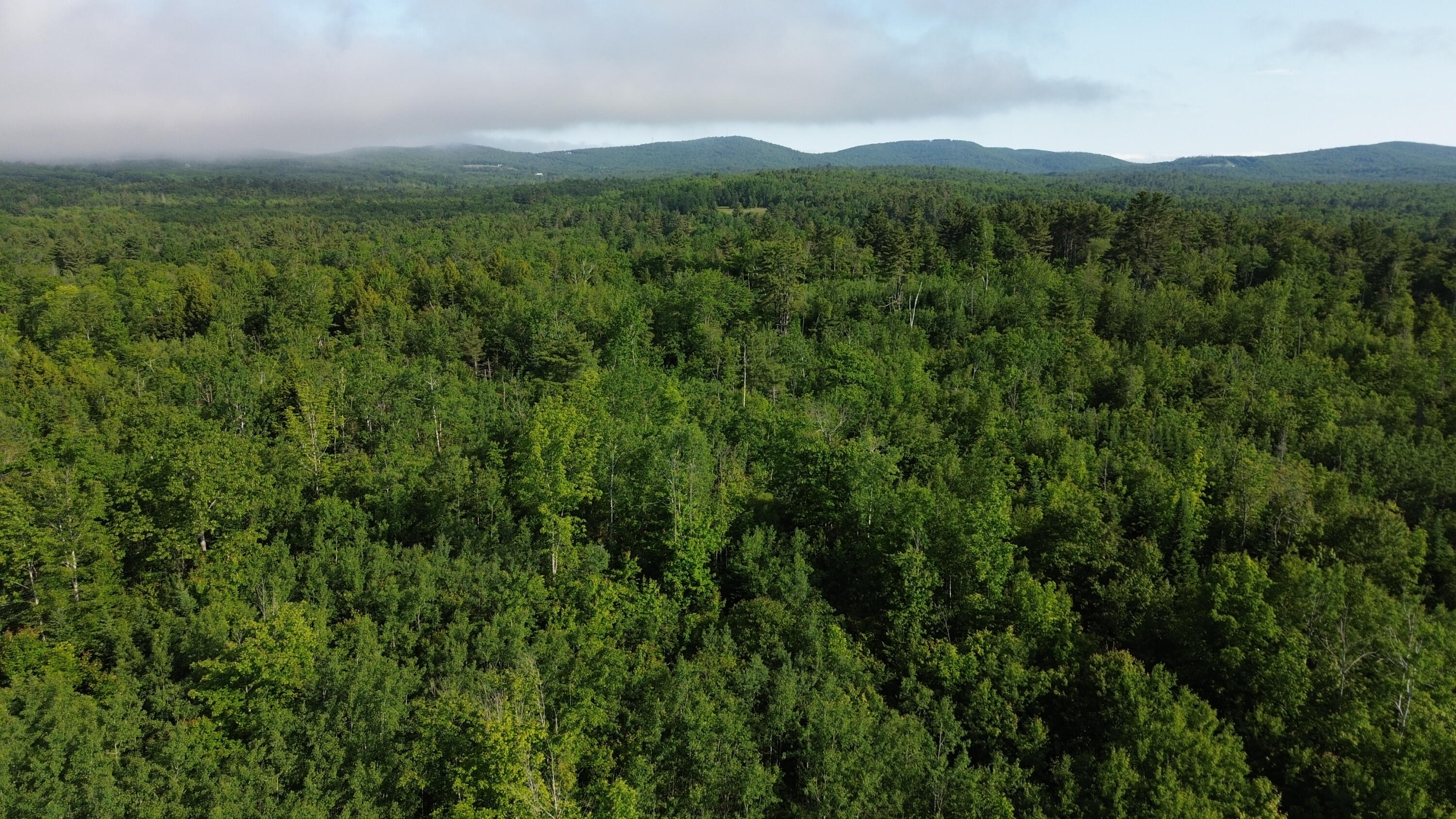 M4-l19 Village Road Jackson, ME 04921 - Photo 2 of 28 DJI_0045