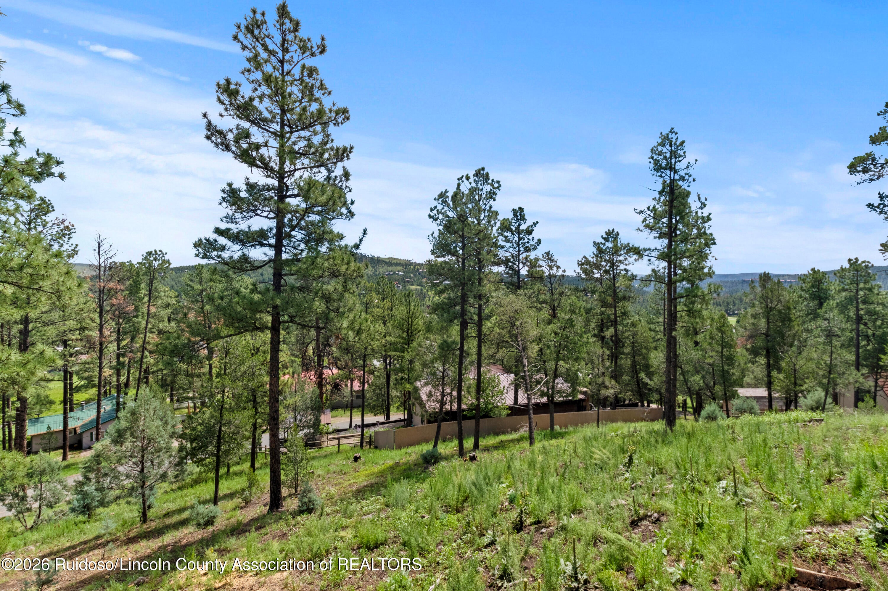 105 Nob Drive Ruidoso, NM 88345 - Photo 58 of 71 Gallery Image 58