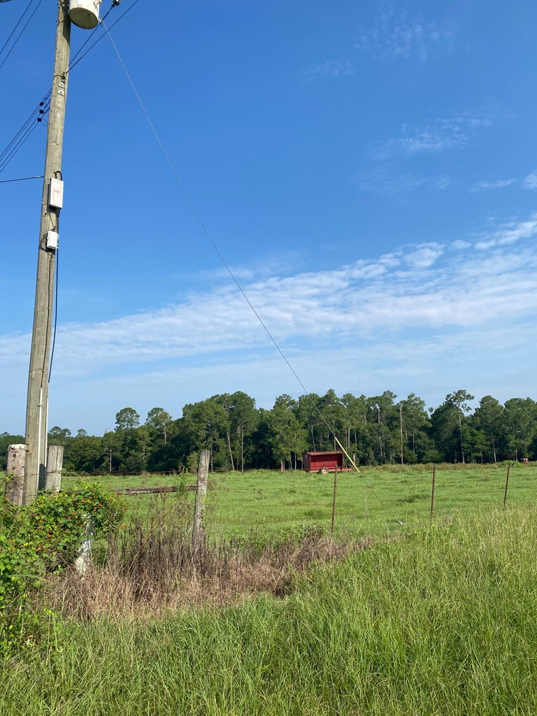 395 Hancock Road Doerun, GA 31744 - Photo 12 of 34 Gallery Image 12