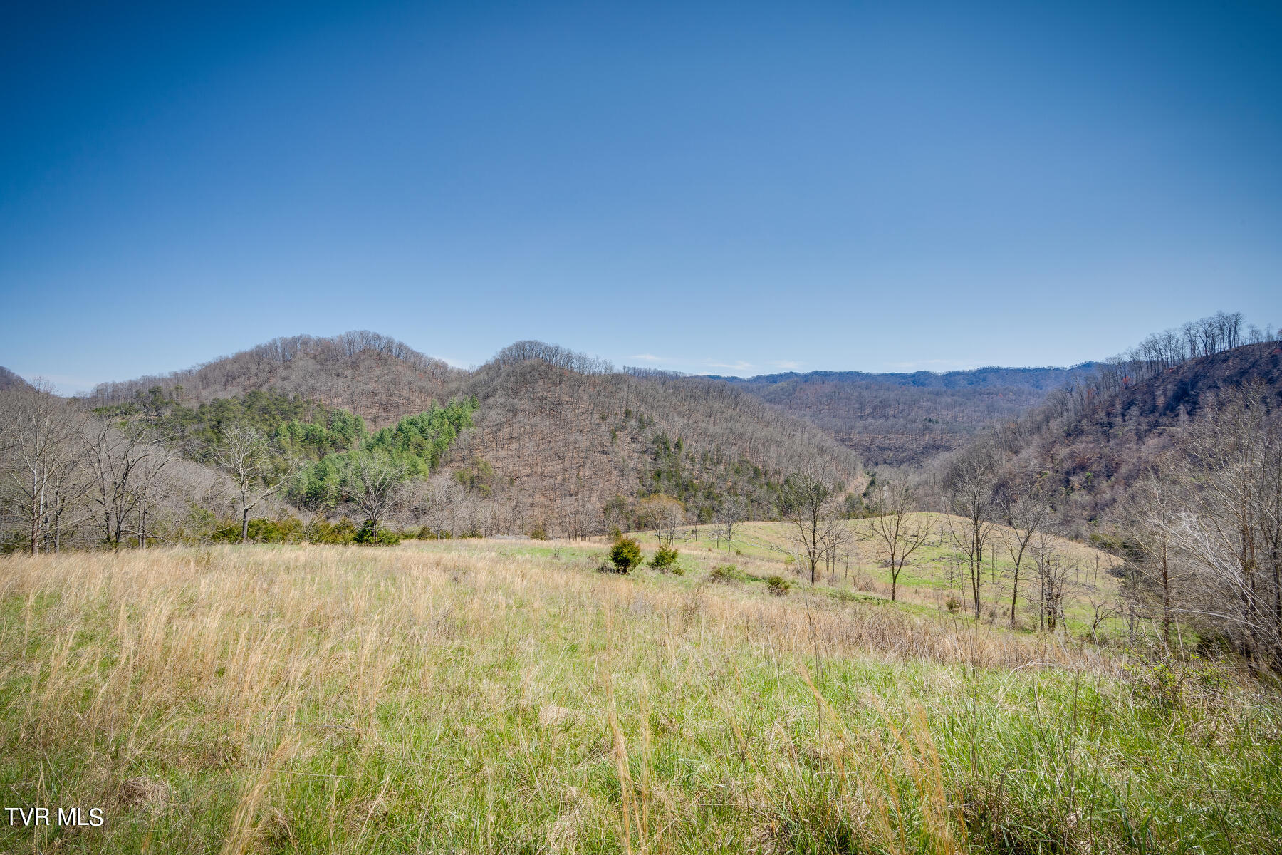 0 Limestone Vly Road Duffield, VA 24244 - Photo 3 of 26 008