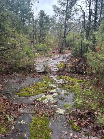 $40,000 | 1206 Rock Bridge Drive, Columbus, GA 31904