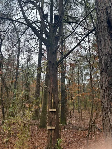 $40,000 | 1206 Rock Bridge Drive, Columbus, GA 31904