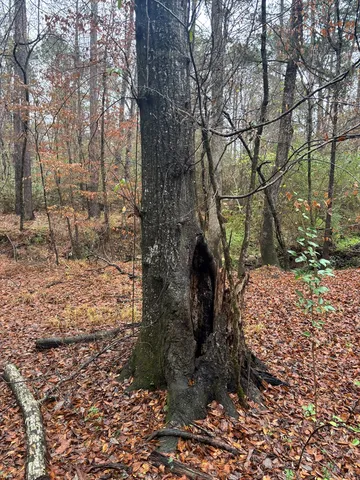 $40,000 | 1206 Rock Bridge Drive, Columbus, GA 31904