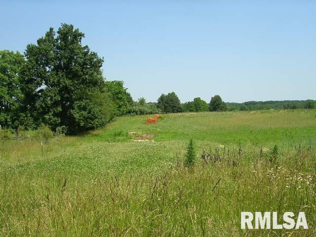 0 Birdwell Road Creal Springs, IL 62922 - Photo 11 of 15 Gallery Image 11