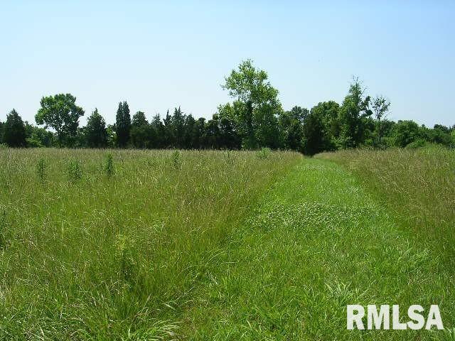 0 Birdwell Road Creal Springs, IL 62922 - Photo 12 of 15 Gallery Image 12