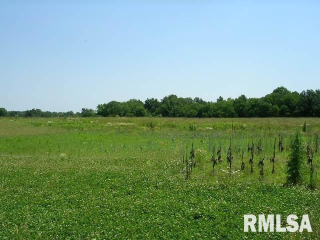 0 Birdwell Road Creal Springs, IL 62922 - Photo 14 of 15 Gallery Image 14