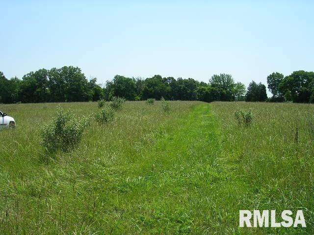 0 Birdwell Road Creal Springs, IL 62922 - Photo 15 of 15 Gallery Image 15