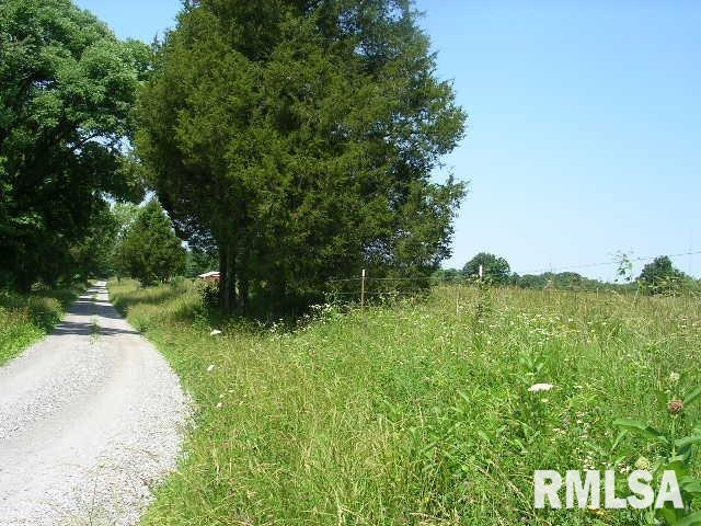0 Birdwell Road Creal Springs, IL 62922 - Photo 3 of 15 Gallery Image 3