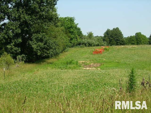 0 Birdwell Road Creal Springs, IL 62922 - Photo 5 of 15 Gallery Image 5