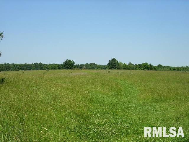 0 Birdwell Road Creal Springs, IL 62922 - Photo 6 of 15 Gallery Image 6