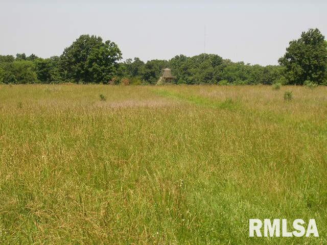 0 Birdwell Road Creal Springs, IL 62922 - Photo 8 of 15 Gallery Image 8