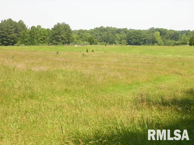 0 Birdwell Road Creal Springs, IL 62922 - Photo 9 of 15 Gallery Image 9