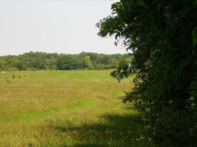 0 Birdwell Road Creal Springs, IL 62922 - Photo 10 of 15 Gallery Image 10