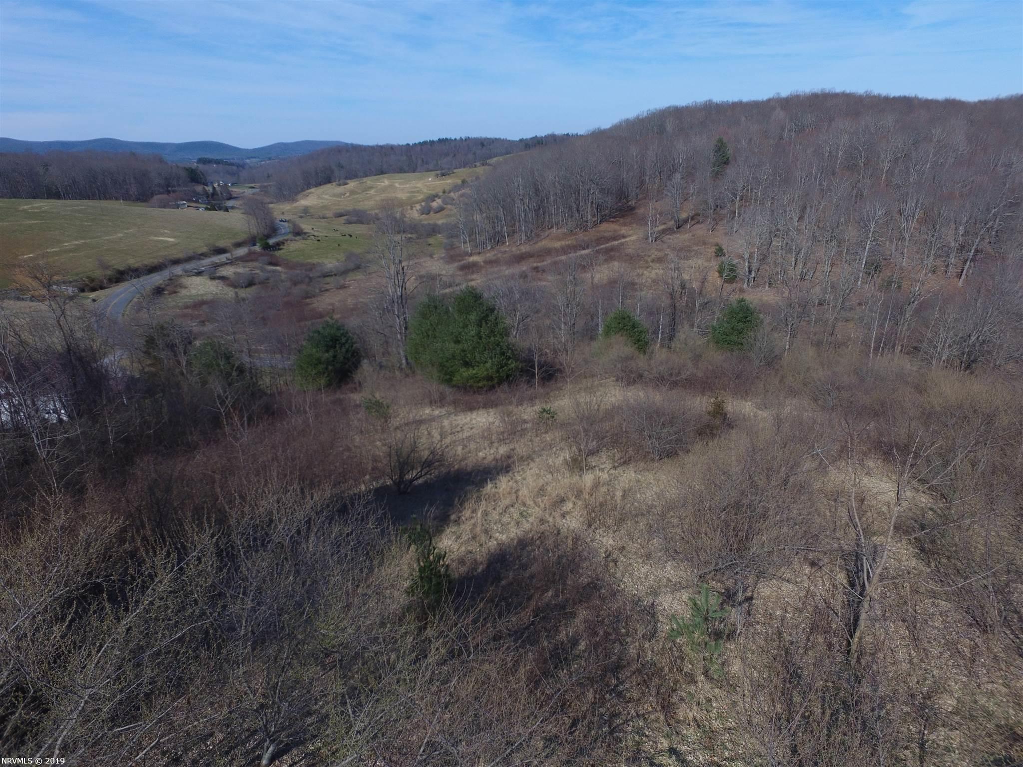 Tbd Union School Road Southwest Floyd, VA 24091 - Photo 4 of 11 Gallery Image 4