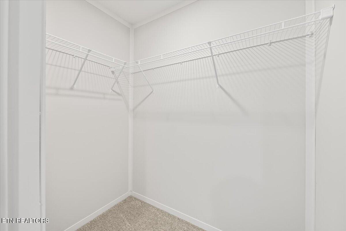 264 Rain Valley Road La Follette, TN 37766 - Photo 25 of 40 Bedroom Closet 2