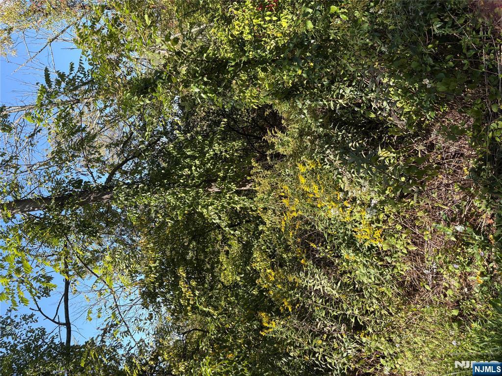 0 Russling Road Hackettstown, NJ 07840 - Photo 2 of 3