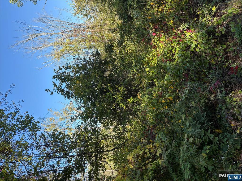 0 Russling Road Hackettstown, NJ 07840 - Photo 3 of 3